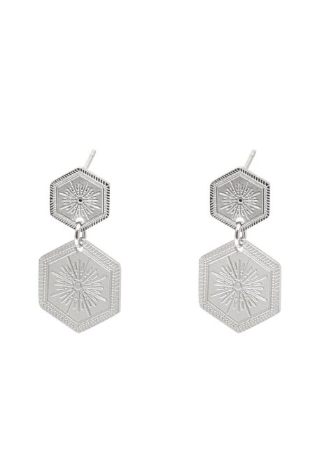 Ατσάλινα σκουλαρίκια Shine σε ασημί χρώμα μεσαίου μεγέθους 3cm