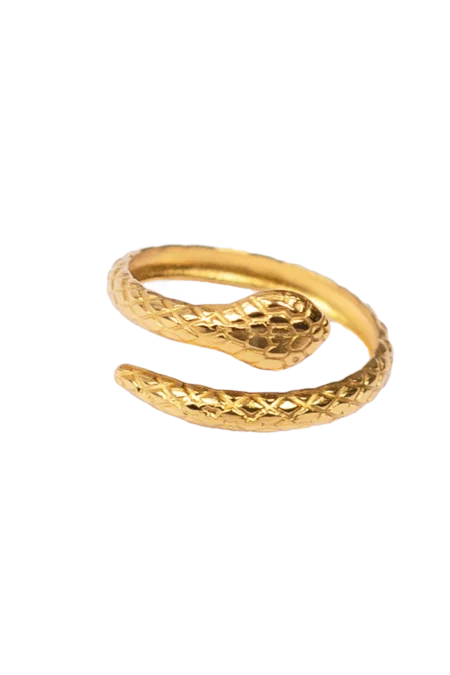 Δαχτυλίδι little snake σε χρυσό χρώμα από ατσάλι One size