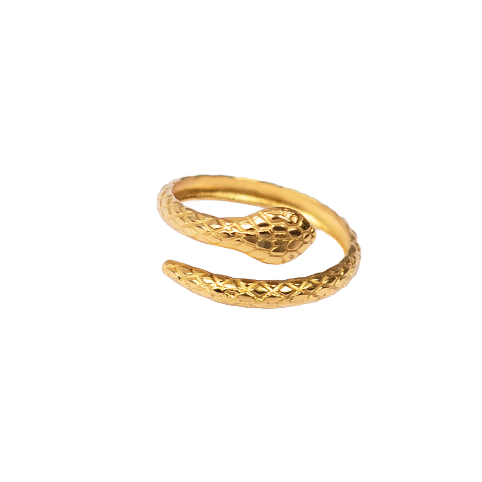 Δαχτυλίδι little snake σε χρυσό χρώμα από ατσάλι One size