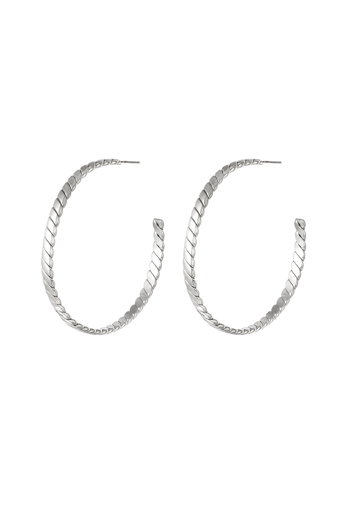 Stainless steel hoop earrings