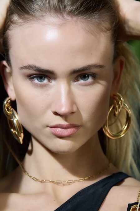 Earrings double hoops - gold Metal